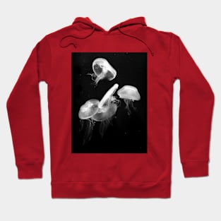 Classic Jellies Hoodie